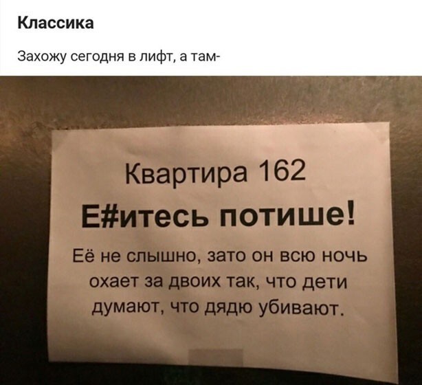 Человек собаке друг и другие картинки под настроение 13.01.2022