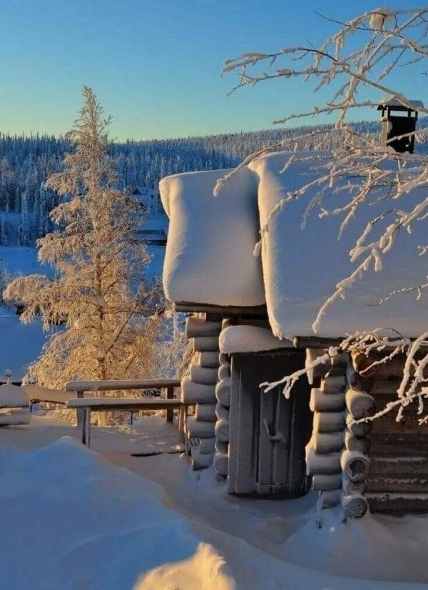 Прикольные и просто красивые картинки 31.01.2022