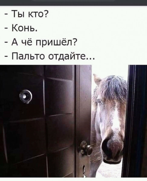 Баянисто-небаянистый юмор 4.03.22