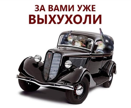 Так себе картинки 23.04.22