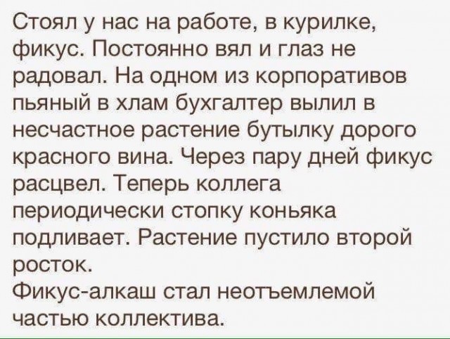 Так себе картинки 06.06.22