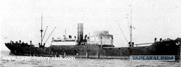 Они живут только 40 лет