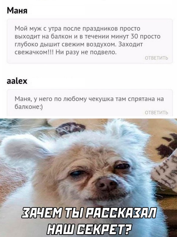 Весёлый полтишок 28.07.22