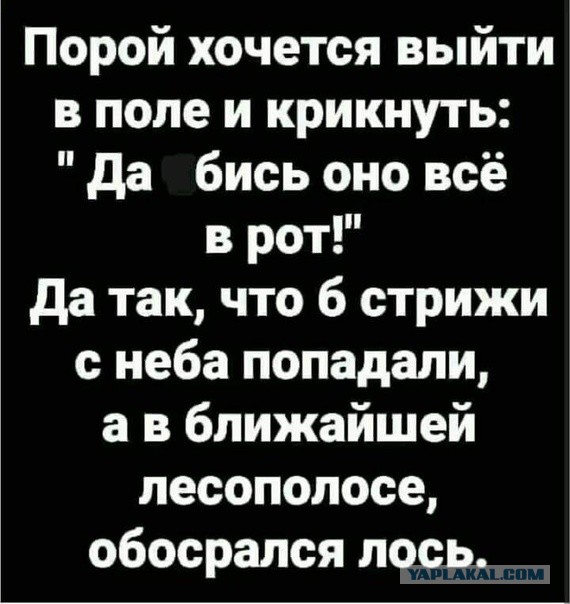 Так себе картинки 04.09.22