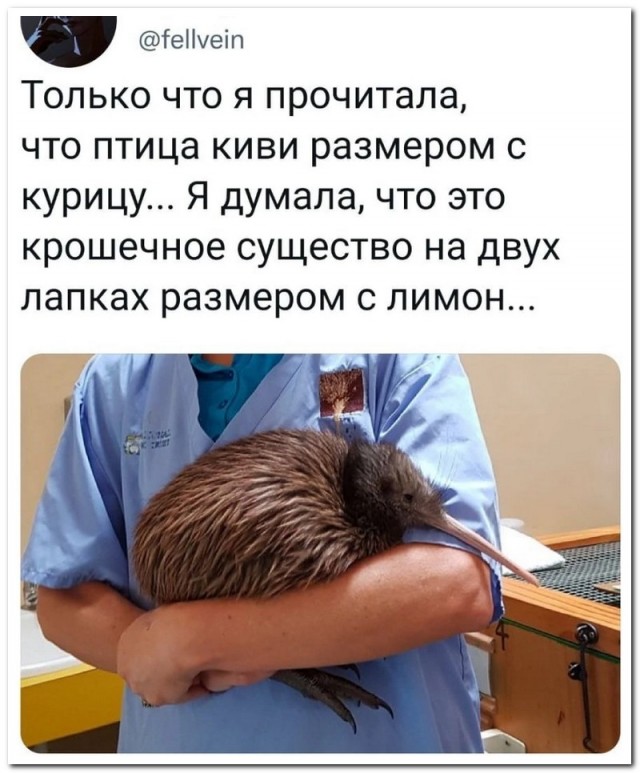 Забавные комментарии из социальных сетей 19.09.22