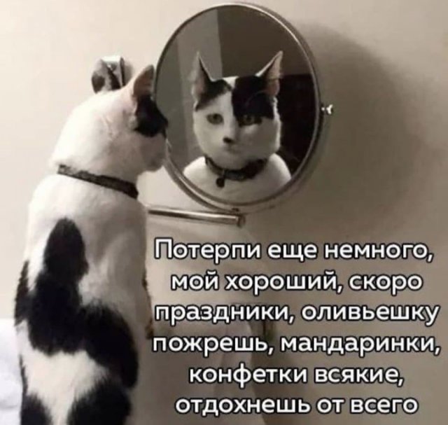 Картинки и мемы, всем хороших выходных