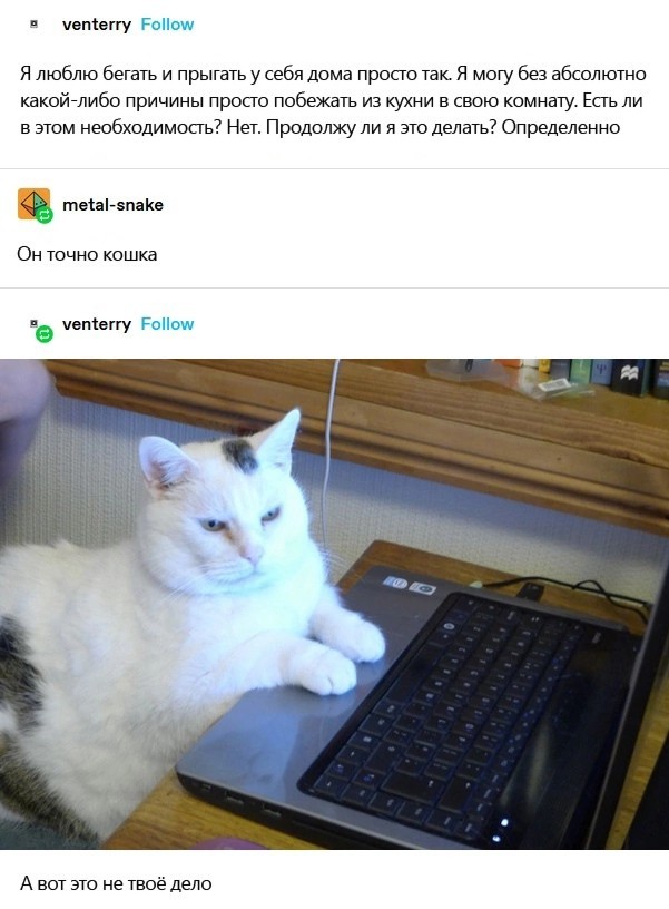 Немного картинок для настроения - 112