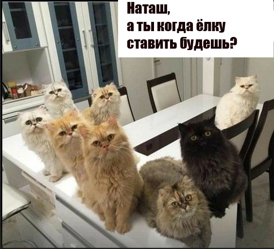 Так себе картинки 17.12.22