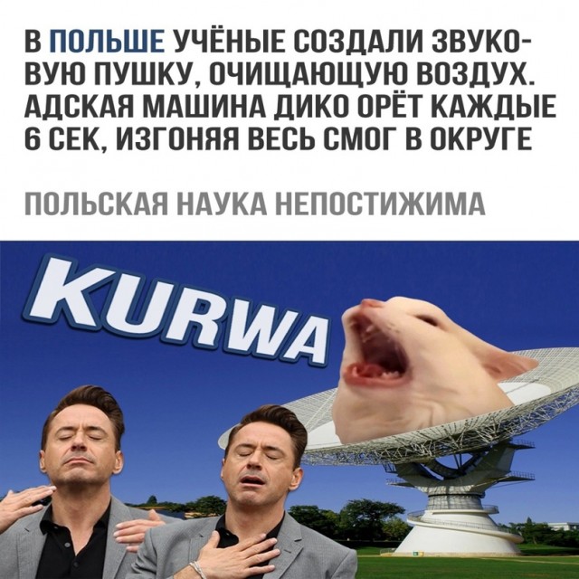 Картинки и мемы. Выходные близко...
