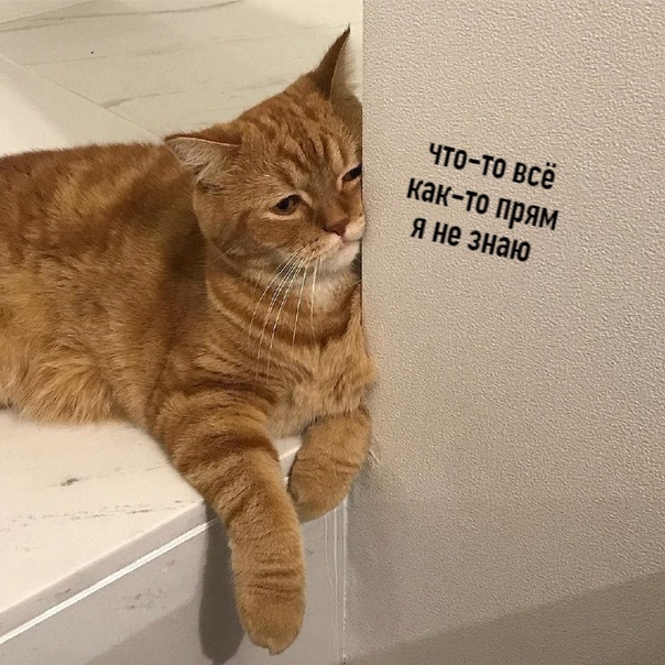 Вчера поплохело