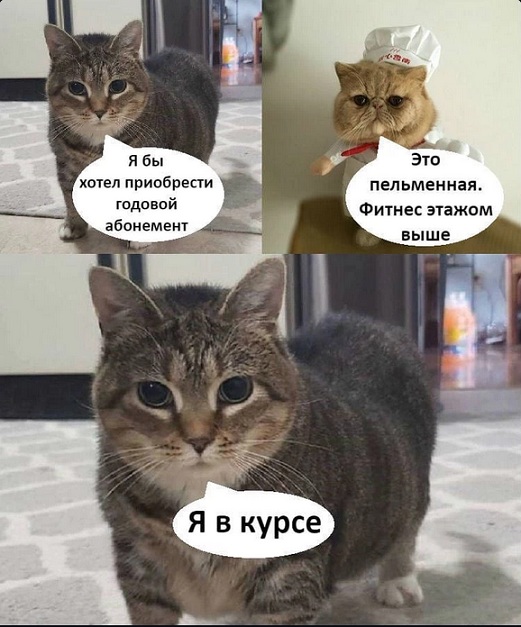 Когда пришёл первый и последний раз в качалку