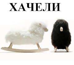 Кодекс поведения чеченцев