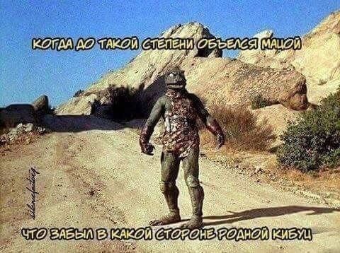 Всего понемногу. Пятничный выпуск