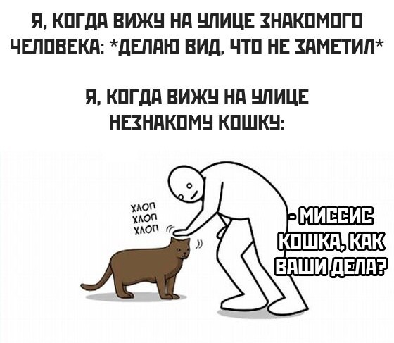 Так себе картинки 21.07.23