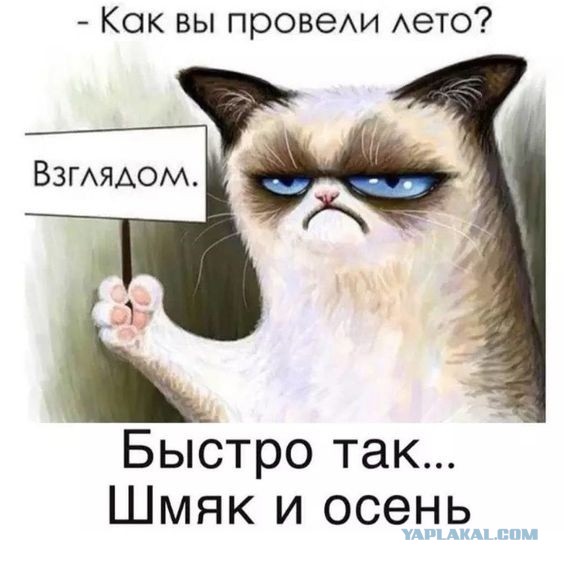 Вопрос к женщинам. Профессия мужа важна для жён? Или важнее его доходы?