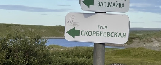 В Нижегородской области молодая сотрудница "Wildberries" придумала схему как воровать товар, но ее спалили