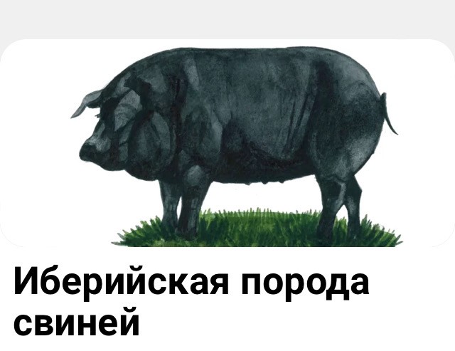 Женщина-кошка