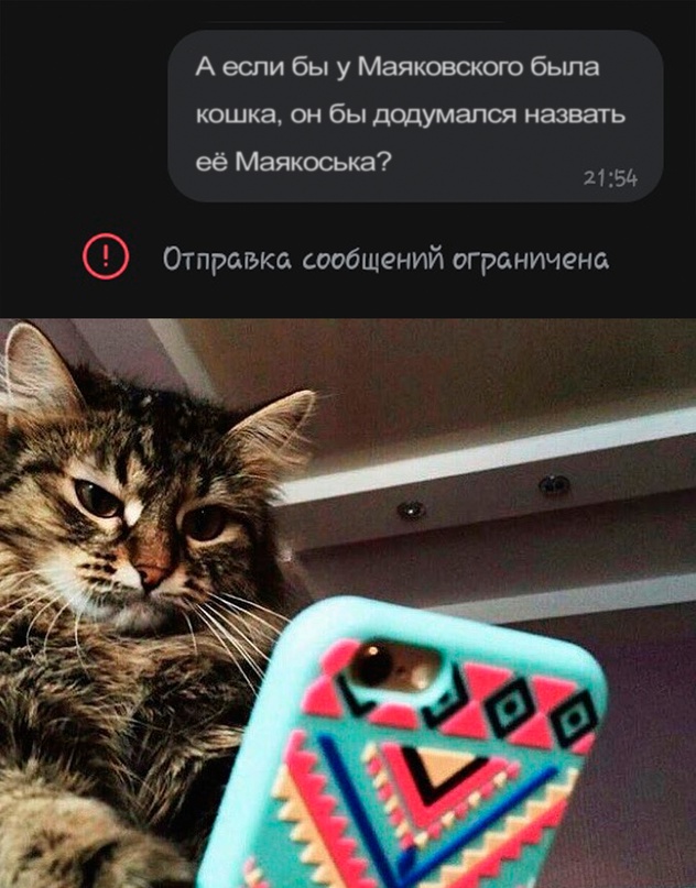 Весёлый полтишок 24.12.23