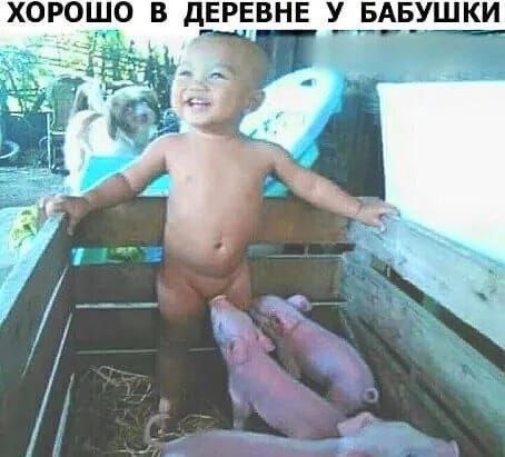 Завалялось тут случайно немного забавных картинок