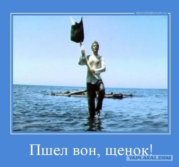 Пчёлы защищают свой улей от муравьёв