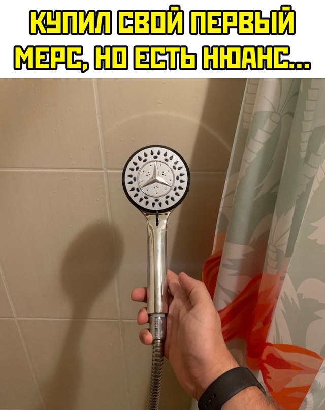 Весёлый полтишок 12.09.24