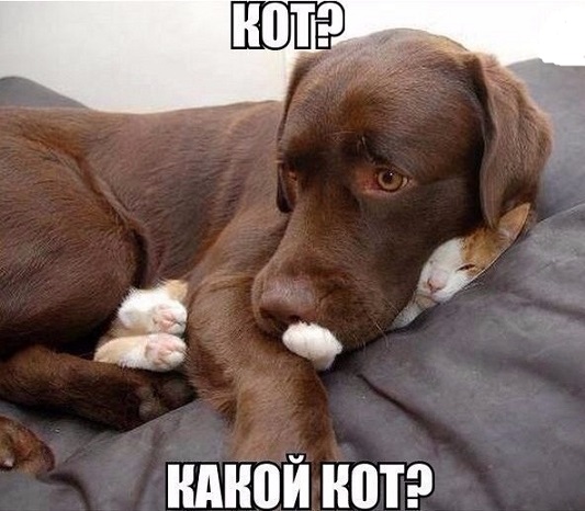 Я прилягу, не возражаете?