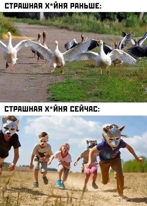 Завалялось тут случайно немного забавных картинок