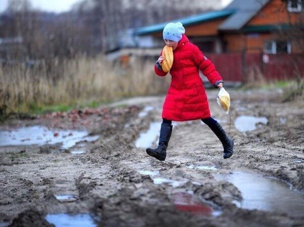 Так себе картинки 30.01.25