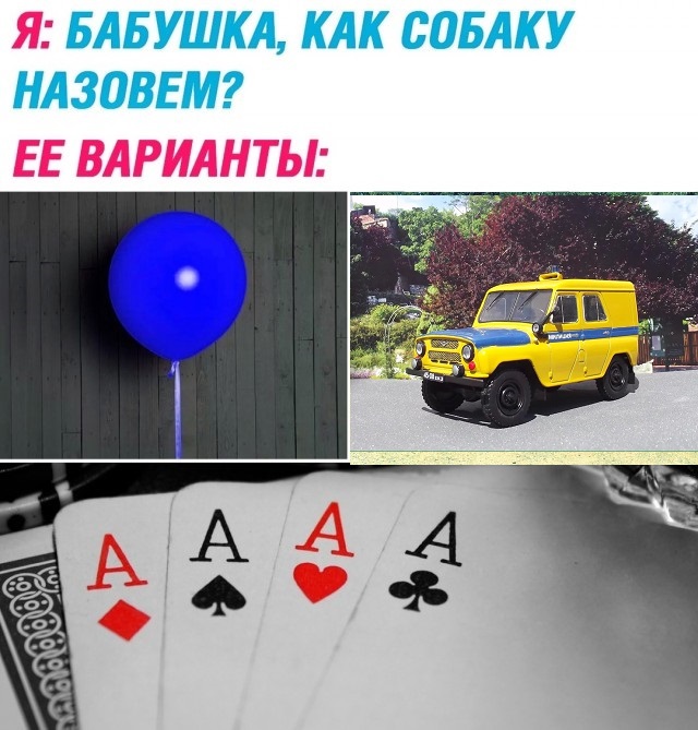 Весёлый полтишок 06.03.2025