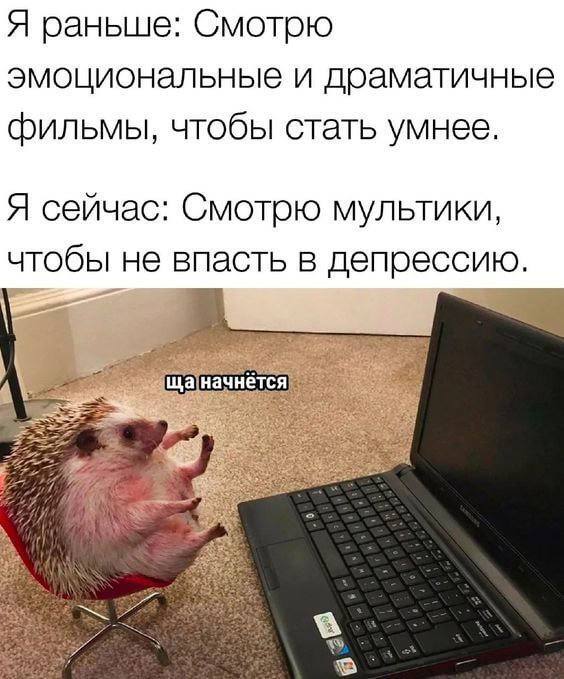 ТРРРидцать тРРРи от 22 мая