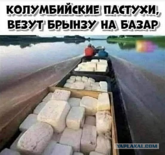 Немного картинок разной степени новизны и адекватности