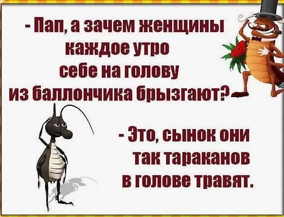 Картинки для деградации 51 (разной степени свежести)