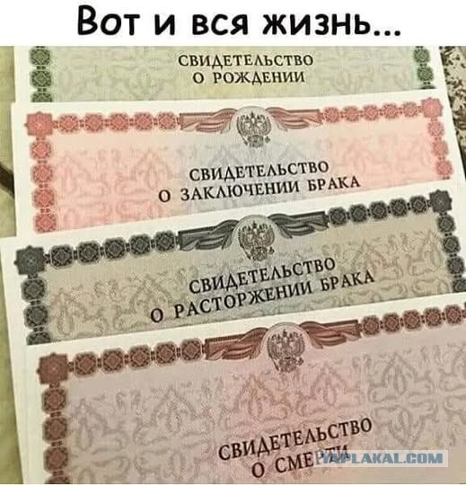Веселое настроение в картинках (28.09.2025)