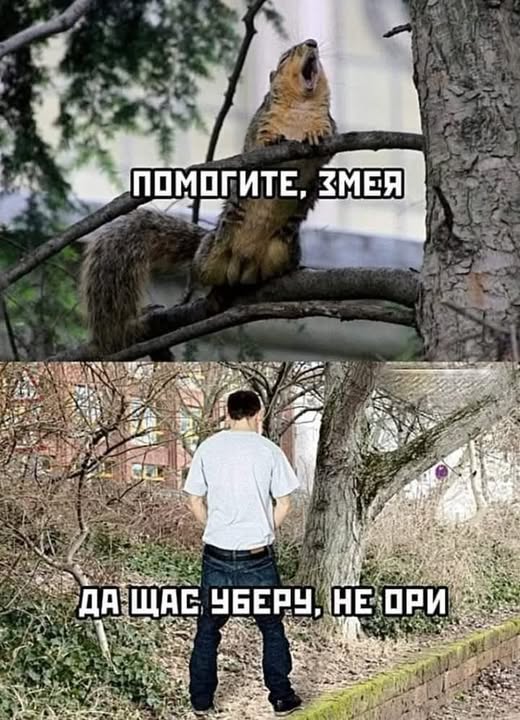Пятничные бояны