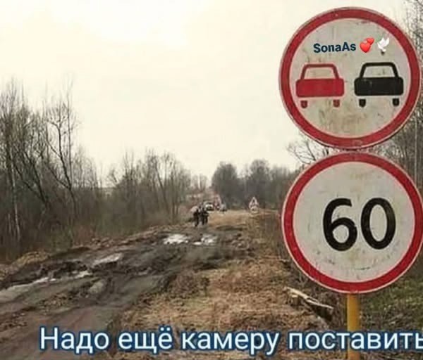 Четверговые картинки.