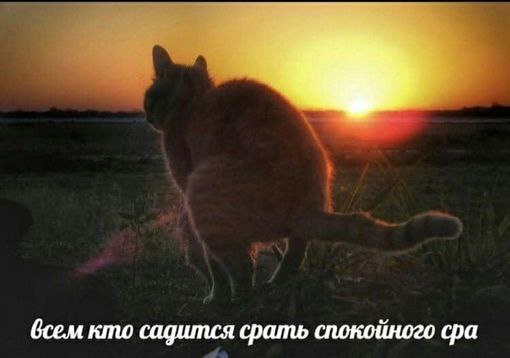 Небаянистая деградация