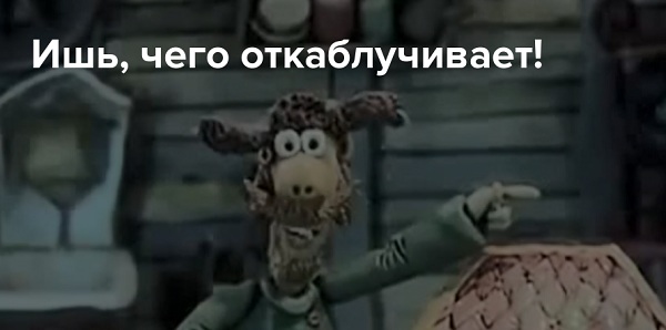 А по виду и не скажешь