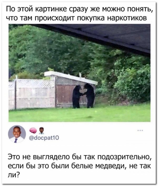 Картинки для деградации 135 (разной степени свежести)