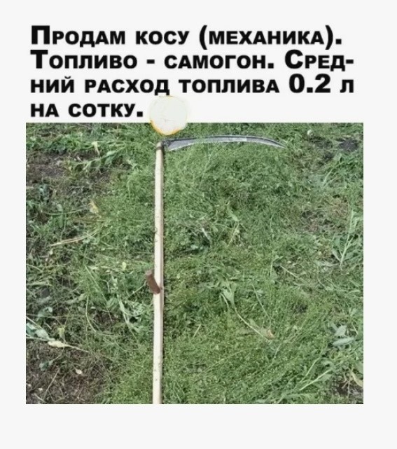 Субботние картинки