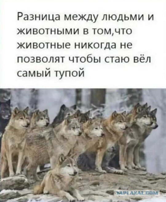 Единоросы уже начали в добровольно-принудительном порядке рассылать Всем Свои Финтифлюшки.