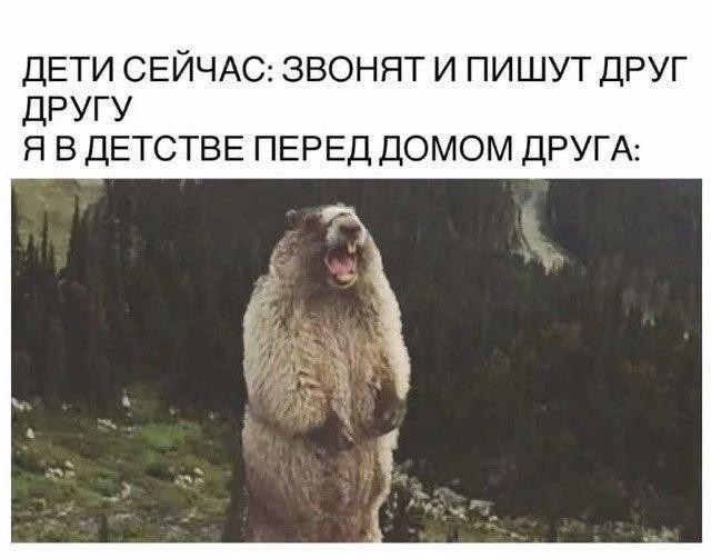 Картинки для деградации 206 (разной степени свежести)
