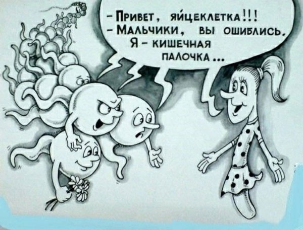 Средятница
