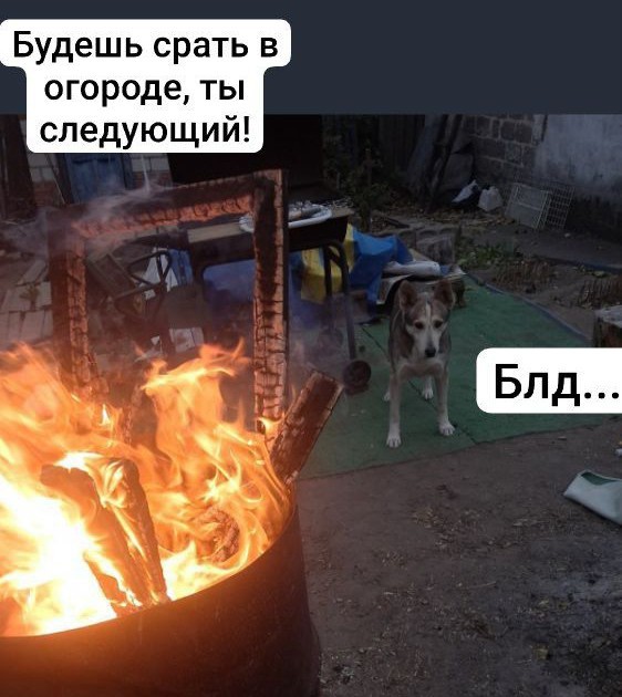 Не могу уже мясо есть, скучно, вот нешашлык из скумбрии.
