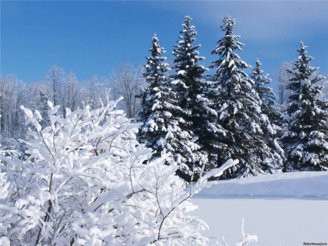 Суровая сибирская зима