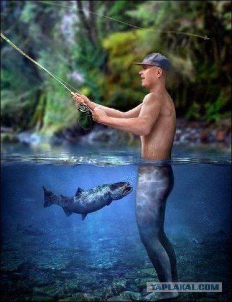 Весёлые картинки. Разбавим будни