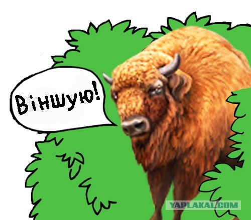 Сегодня - День Единения народов Беларуси и России