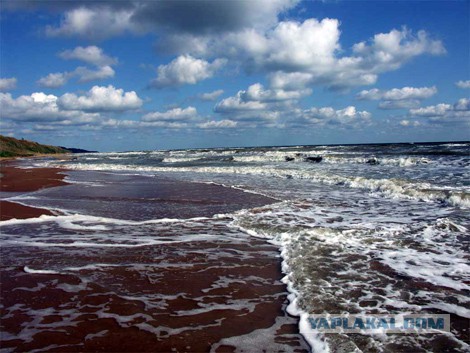 Азовское море. Тиздар