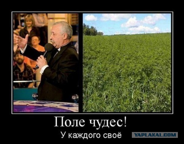 ОНИ повсюду