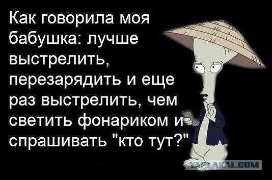 Подборка веселых картинок
