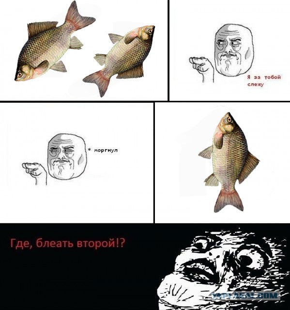 Стоит только моргнуть...